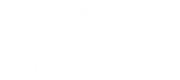 The Basis Store